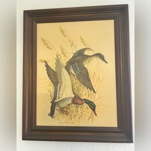 vintage Charles E Murphy Mallard duck framed art print